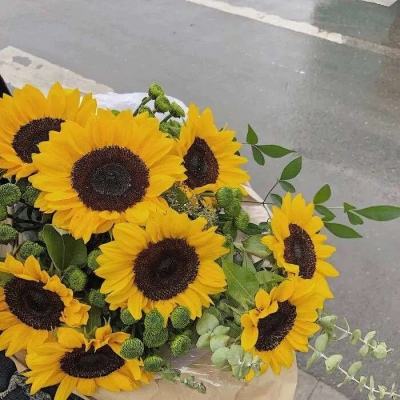 B—sports登录B体育