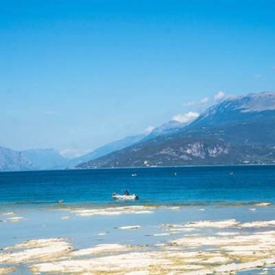 ayx爱游戏全站下载手机版