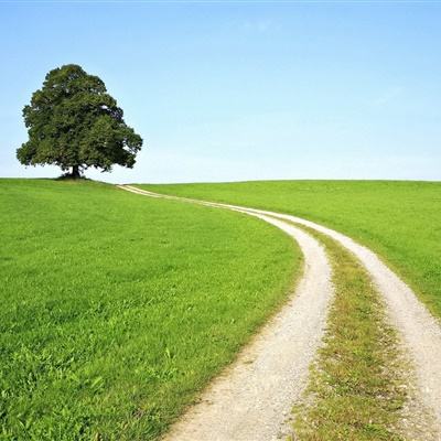 乐鱼娱乐app官网下载