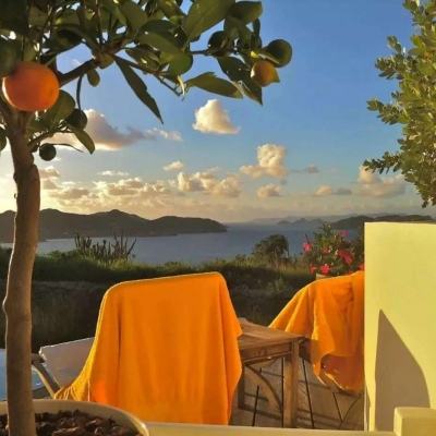 天博网页版入口官网