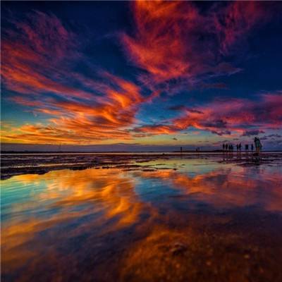 半导体育APP截图