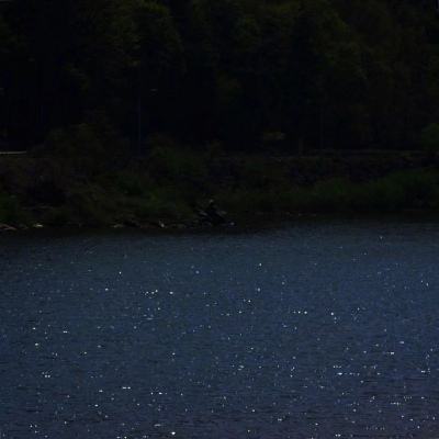 真人百家家乐网站