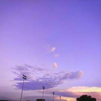 ky体育手机app下载