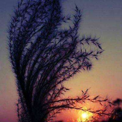 真人百家家乐网站