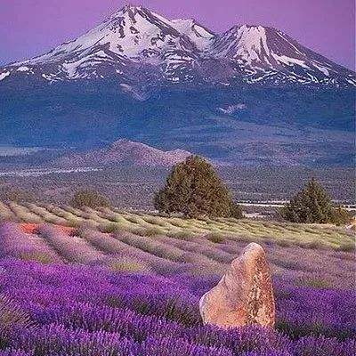 B—sports登录B体育